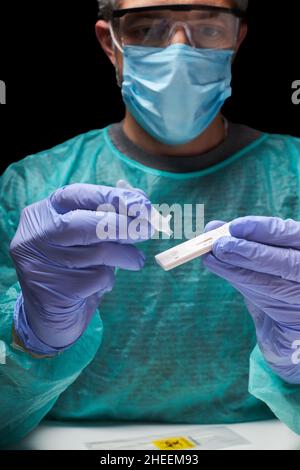 Anonymer Arzt mit medizinischen Handschuhen, der Tropfen auf einen schnellen Coronavirus-Test in der Klinik setzte Stockfoto