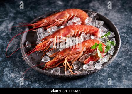 Hoher Garnelenwinkel in einer Schüssel mit Eis und Petersilie auf einem schwarzen Tisch im Luxusrestaurant Stockfoto