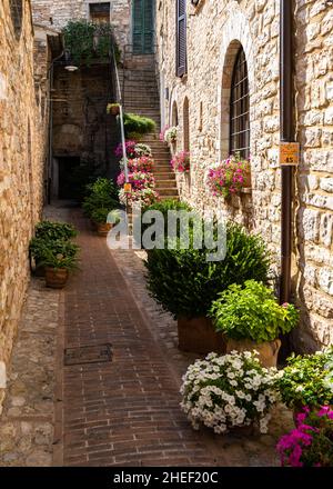 Eine schmale Straße in Spello, einer typischen Stadt in Umbrien, Italien Stockfoto