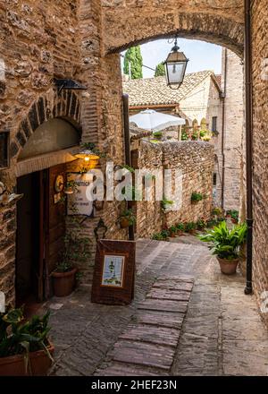 Eine mit Blumen geschmückte Gasse in Spello, einem der schönsten Dörfer Italiens, Region Umbrien Stockfoto