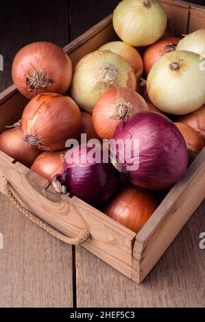 Zwiebeln in alter Schachtel auf rustikalem Holztisch, Lebensmittelzutaten Stockfoto