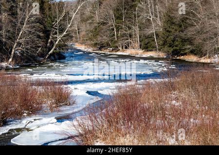 Ein Blick auf den Sahandaga River in den Adirondack Mountains im Winter mit Schnee und Eis auf dem Wasser. Stockfoto