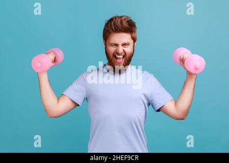 Porträt eines bärtigen Mannes, der rosa Hanteln in den Händen hält und die Kamera mit Anstrengung anschaut, Muskeln aufpumpt, einen gesunden Lebensstil hat. Innenaufnahme des Studios isoliert auf blauem Hintergrund. Stockfoto