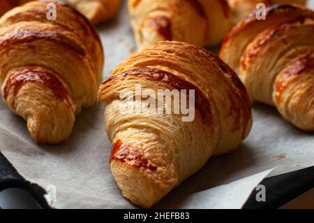 Frisch gebackene Croissants auf einem Pergamentpapier. Fertig zum Blätterteig Backen. Herzhaftes und hausgemachtes Bäckerkonzept. Stockfoto