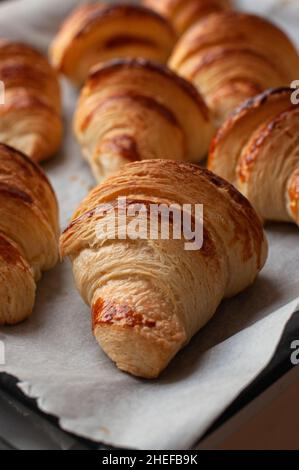 Frisch gebackene Croissants auf einem Pergamentpapier. Fertig zum Blätterteig Backen. Herzhaftes und hausgemachtes Bäckerkonzept. Stockfoto