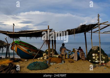 Sri Lanka Chilaw Karukupane - Karukupane Beach Angelhafen Stockfoto