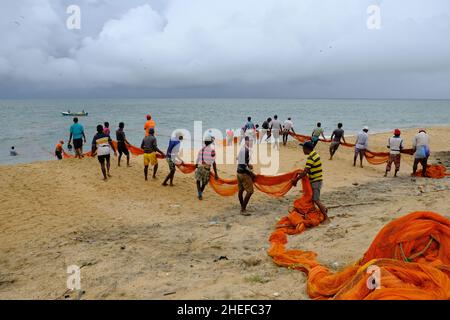 Sri Lanka Chilaw Karukupane - Karukupane Beach Fischer ziehen in einem Netz Stockfoto