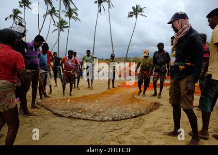 Sri Lanka Chilaw Karukupane - Karukupane Strand Angeln an der Küste Fischernetz mit Fisch Stockfoto