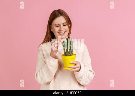 Portrait einer attraktiven jungen erwachsenen blonden Frau, die einen gelben Blumentopf mit stacheliger Kaktusblüte hält, die Pflanze anschaut und einen weißen Pullover trägt. Innenaufnahme des Studios isoliert auf rosa Hintergrund. Stockfoto