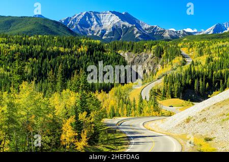 Sheep River Provincial Park ist ein Provinzpark in Alberta, Kanada, 23 Kilometer westlich von Turner Valley am Highway 546. Es ist Teil des Kan Stockfoto