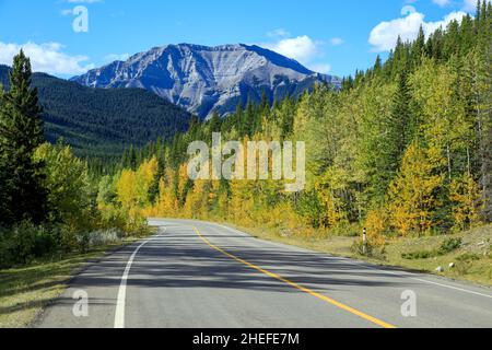 Sheep River Provincial Park ist ein Provinzpark in Alberta, Kanada, 23 Kilometer westlich von Turner Valley am Highway 546. Es ist Teil des Kan Stockfoto