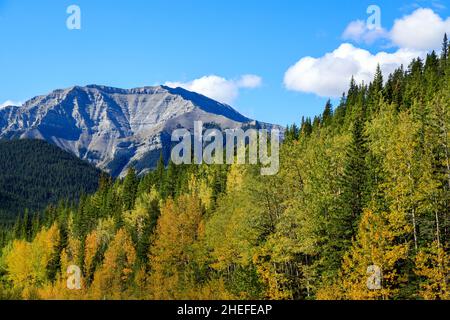 Sheep River Provincial Park ist ein Provinzpark in Alberta, Kanada, 23 Kilometer westlich von Turner Valley am Highway 546. Es ist Teil des Kan Stockfoto