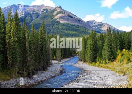 Sheep River Provincial Park ist ein Provinzpark in Alberta, Kanada, 23 Kilometer westlich von Turner Valley am Highway 546. Es ist Teil des Kan Stockfoto