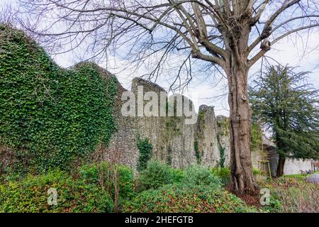 Die Überreste und Ruinen der mittelalterlichen Stadtmauer und Zinnen bei der Bishop's Castle of Wolvesey an den Wehren in Winchester, Hampshire, England Stockfoto