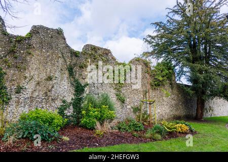 Die Überreste und Ruinen der mittelalterlichen Stadtmauer und Zinnen bei der Bishop's Castle of Wolvesey an den Wehren in Winchester, Hampshire, England Stockfoto