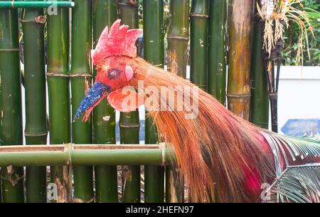 Hühnerpuppen aus Blättern und Zweigen Stockfoto