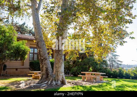 Sonniger Blick auf den Campus von UC Riverside in Kalifornien Stockfoto