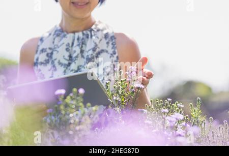 Asiatische Frau mittleren Alters mit einer Tablette, während die Qualität der Blumen im Garten zu überprüfen. Stockfoto