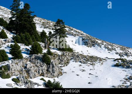 Schneebedeckter Hang am Berg Parnassos, Zentralgriechenland Stockfoto