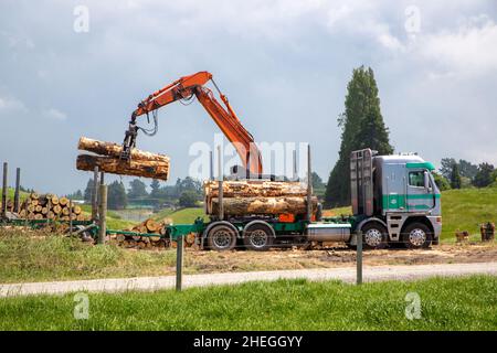 Ein Schwinglader zerschneidet Kiefernholz auf einen LKW für den Transport. Nordinsel, Neuseeland Stockfoto