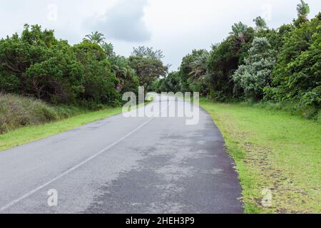 Straße einspurige Ziel-Route Kurven durch üppige Bäume Gras tropische Vegetation Küstenlandschaft. Stockfoto