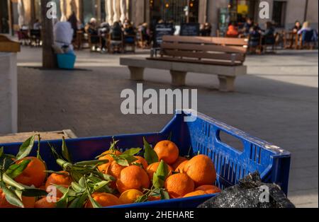 Nahaufnahme von Mandarinen auf einem Straßenmarkt auf der Insel Mallorca, Spanien Stockfoto