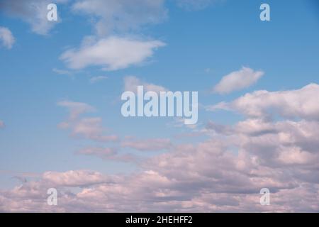 Rosafarbene, flauschige Wolken am blauen Himmel. Perfekter Morgenhimmel in Pastelltönen. Himmel Hintergrund für Ihre Fotos. Stockfoto