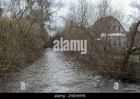 Der Zorn bei seiner Kreuzung von Brumath im Norden von Straßburg. Die am Ufer wachsenden Weiden bedecken das Wasser. Stockfoto