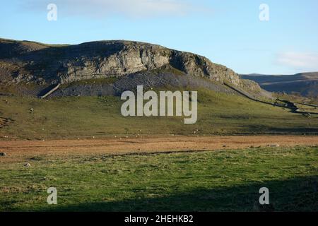 Robin Proctor Scar (Limestone Cliff) Norber in der Nähe von Clapham/Austwick im Yorkshire Dales National Park, England, Großbritannien Stockfoto