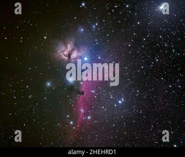 Horsehead- und Flammennebel am winterlichen Nachthimmel, aufgenommen mit einem persönlichen Teleskop Stockfoto