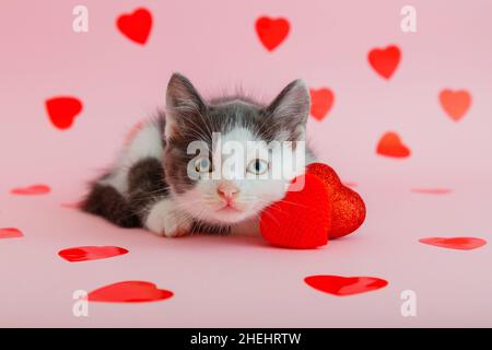 Niedliche gefleckte schwarz weiß Kätzchen hält in Pfote Umarmung roten Herzen als Symbol der Liebe Geschenk Valentinstag isoliert auf rosa Hintergrund. Minimalistisch Stockfoto