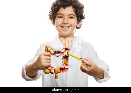 Männliches Kind hält während des Lernens der menschlichen Anatomie ein anatomisches Darmmodell mit Pathologien in den Händen, um die Körperstruktur zu studieren Stockfoto