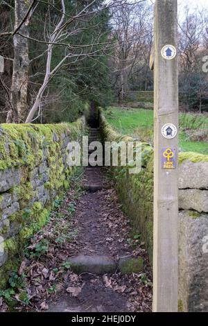 Calderdale Way in der Nähe von Hardcastle Crags, in der Nähe, Hebden Bridge Calderdale, West Yorkshire, Großbritannien. Stockfoto