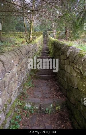 Calderdale Way in der Nähe von Hardcastle Crags, in der Nähe, Hebden Bridge Calderdale, West Yorkshire, Großbritannien. Stockfoto