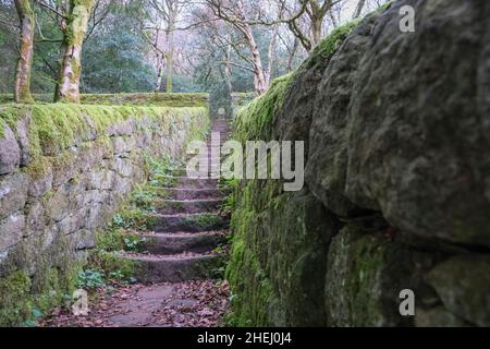 Calderdale Way in der Nähe von Hardcastle Crags, in der Nähe, Hebden Bridge Calderdale, West Yorkshire, Großbritannien. Stockfoto