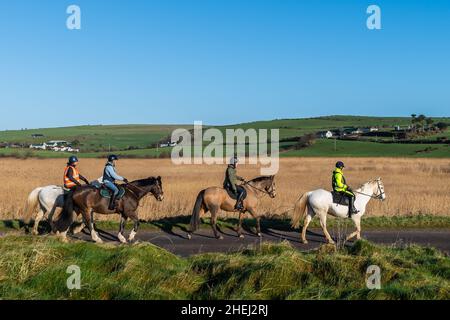 Garrettstown, West Cork, Irland. 11th Januar 2022. An einem warmen und sonnigen Wintertag nutzten diese Damen die Gelegenheit, in Garrettstown ihre Pferde zu hacken. Der Rest des Tages wird sonnig mit Höhen von 6-10 Grad. Quelle: AG News/Alamy Live News Stockfoto