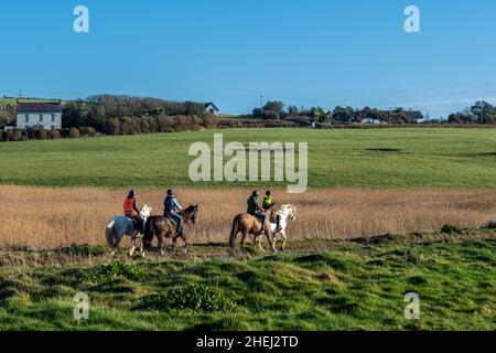 Garrettstown, West Cork, Irland. 11th Januar 2022. An einem warmen und sonnigen Wintertag nutzten diese Damen die Gelegenheit, in Garrettstown ihre Pferde zu hacken. Der Rest des Tages wird sonnig mit Höhen von 6-10 Grad. Quelle: AG News/Alamy Live News Stockfoto