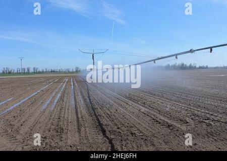 Bewässerungssystem in Funktion Bewässerung von landwirtschaftlichen Pflanzen. Trockenheitsprävention. Sprinkleranlage. Stockfoto