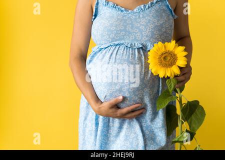 Mutterschaft, Mutterschaft, Weiblichkeit, heißer Sommer, Natur, Menschen - Croped Portrait schwanger unkenntlich Frau in floralen blauen Kleid halten große frisch Stockfoto