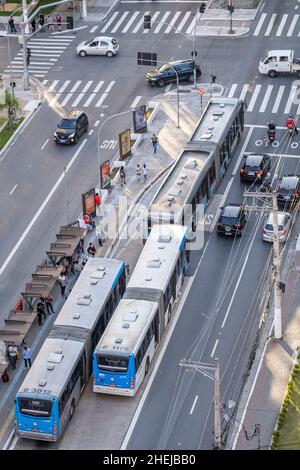 Gelenkbusse auf einer verkehrsreichen Stadtautobahn. BRT (Bus Rapid Transit) Gelenkbus in einer BRT-Busspur. Passagiere an der Bushaltestelle. Sao Paulo, Brasilien Stockfoto