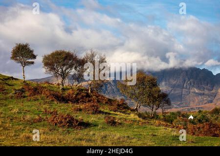 Herbstbäume, in der Nähe von Torrin, Isle of Skye, Schottland. Stockfoto