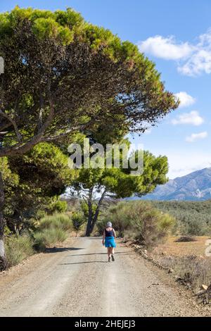 Frau zu Fuß auf GR-249, Gran Senda de Malaga, in der Nähe von Guaro, Periana, Axarquía, Andalusien, Spanien Stockfoto