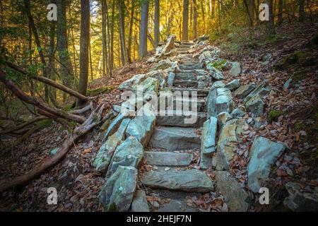 Gut gepflegte Steintreppen führen einen Hügel entlang des Fiery Gizzard Trail auf dem South Cumberland Plateau in Tennessee hinauf. Stockfoto