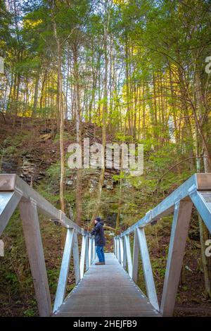 Ein Wanderer hält inne, um die Aussicht auf einer Aluminium-Fußgängerbrücke entlang des Fiery Gizzard Trail auf dem South Cumberland Plateau in Tennessee zu bewundern. Stockfoto