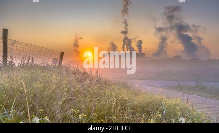 Bunte Dünenvegetation unter aufgehender Morgensonne in Industrielandschaft. Wijk aan Zee, Noord Holland, Niederlande. Stockfoto