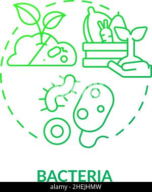 Symbol für das Konzept des grünen Farbverlaufs von Bakterien Stock Vektor