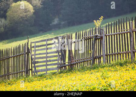 Natur, einheimische Kunst Slowakei, Schönheit Stockfoto