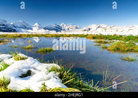 Breithorn und schneebedeckte Berge spiegeln sich im Alpensee, Mannlichen, Jungfrau Region, Kanton Bern, Schweiz Stockfoto