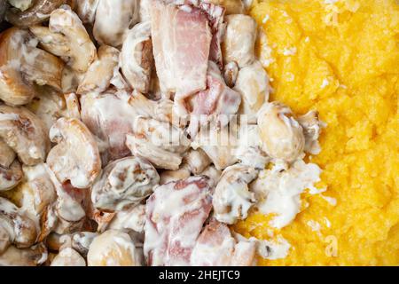 Champignon-Pilze mit Sauerrahm und Maismehl-Polenta. Osteuropa rustikales Rezept. Nahaufnahme des Hintergrunds. Stockfoto