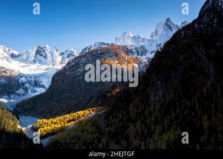 Bunte Wälder und Sciore-Berge im Herbst mit Schnee bedeckt, Val Bondasca, Val Bregaglia, Kanton Graubünden, Schweiz Stockfoto